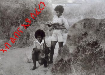 ATV: ጉጅለ ህግደፍ ባዕሉ ዝረሸኖም ተጋደልቲ፡ ካብ መዝገብ ስውኣት ሓኺኽዎም’ዩ – ጽላል – Tsilal from USA