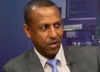 ዕስራ ሰነ 1991፡ ጥልመት ሕድሪ ሰማእታት ዝተኣወጀላ ዕለት – ብ ዶር መብራህቱ ኣተወብርሃን