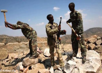 Divest from forced labor in Eritrea