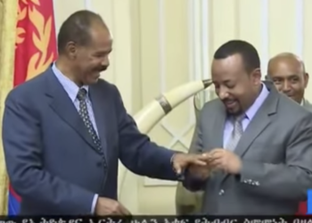 ቃል ኪዳን፡ ኣራት ኪሎን ዓዲ ሃሎን ከይዓበየ ዓሶ ትመንጥሎ