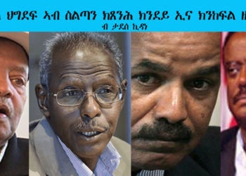 ATV: ጉጅለ ህግደፍ ኣብ ስልጣን ንኽጸንሕ ክንደይ ኢና ክንከፍል ዘሎና? – ብ ታደሰ ኪዳነ – Tadesse Kidane