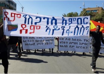 ATV: ብ’ሓንቲ ወንጭፍ ክልተ ዑፍ ከም ዝተባህለ” እዝኒ ዘለዎ ይስማዕ፡ ዂናት እንዳ ገፍሐ እንበር እንዳ ጸበበ ኣይከይድን እዩ – መልእኽቲ ሓው ደሳለ