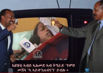 ATV:ኣዘዝቲ ኣብይ ኣሕመድ ኣብ ትግራይ `ጉምቦ መሸላ `ኳ ኣይቀንጠብናን` ይብሉ – ጭብጢ ግን ይዛረብ Stop the war & massacre in Tigray!
