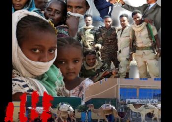 Eritreans Protesting Injustice – Eritrean Community of Southern California