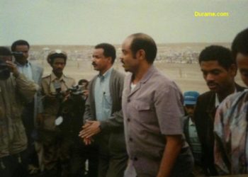 Isayas and Meles: The Regional Confederalism That Divorced Their Alliance