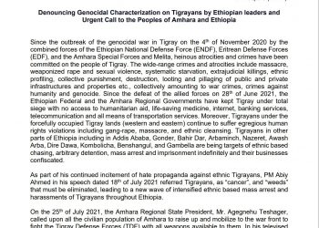 Denouncing Genocidal Characterization on Tigrayans by Ethiopian leaders and Urgent Call to the Peoples of Amhara and Ethiopia