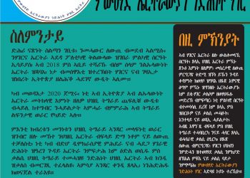 Factsheet – Eritrean Coordination for the Salvation of the Eritrean People (ECSEP)