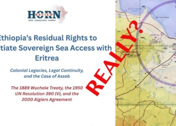Ethiopia, Eritrea, and the Red Sea: Why “Residual Sovereignty” Over Assab Is a Legal Dead End